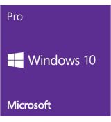 Windows 10 Professional OEM