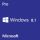 Windows 8.1 Professional OEM