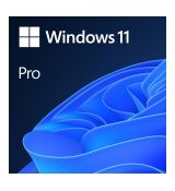 Windows 11 Professional RETAIL